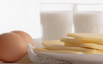 mlijecni-proizvodi-sirevi-i-jaja-2